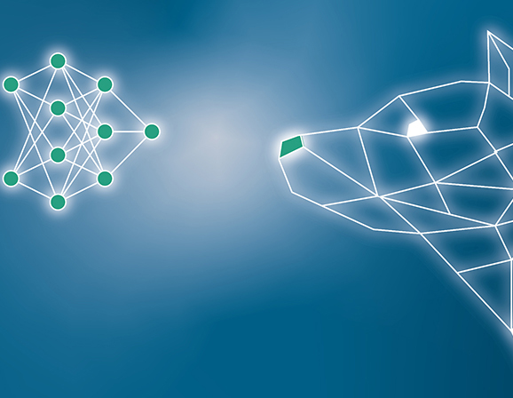 NASE: Neural Architecture Search Engine